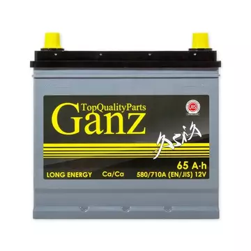 Аккумулятор GANZ ASIA 65 А/ч обратная R+ 232x175x225 EN580 А
