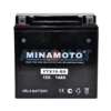 Аккумулятор мото MINAMOTO (YTX16-BS)