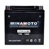 Аккумулятор мото MINAMOTO (YTX14-BS)