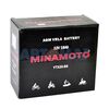 Аккумулятор мото MINAMOTO (YTX20-BS)